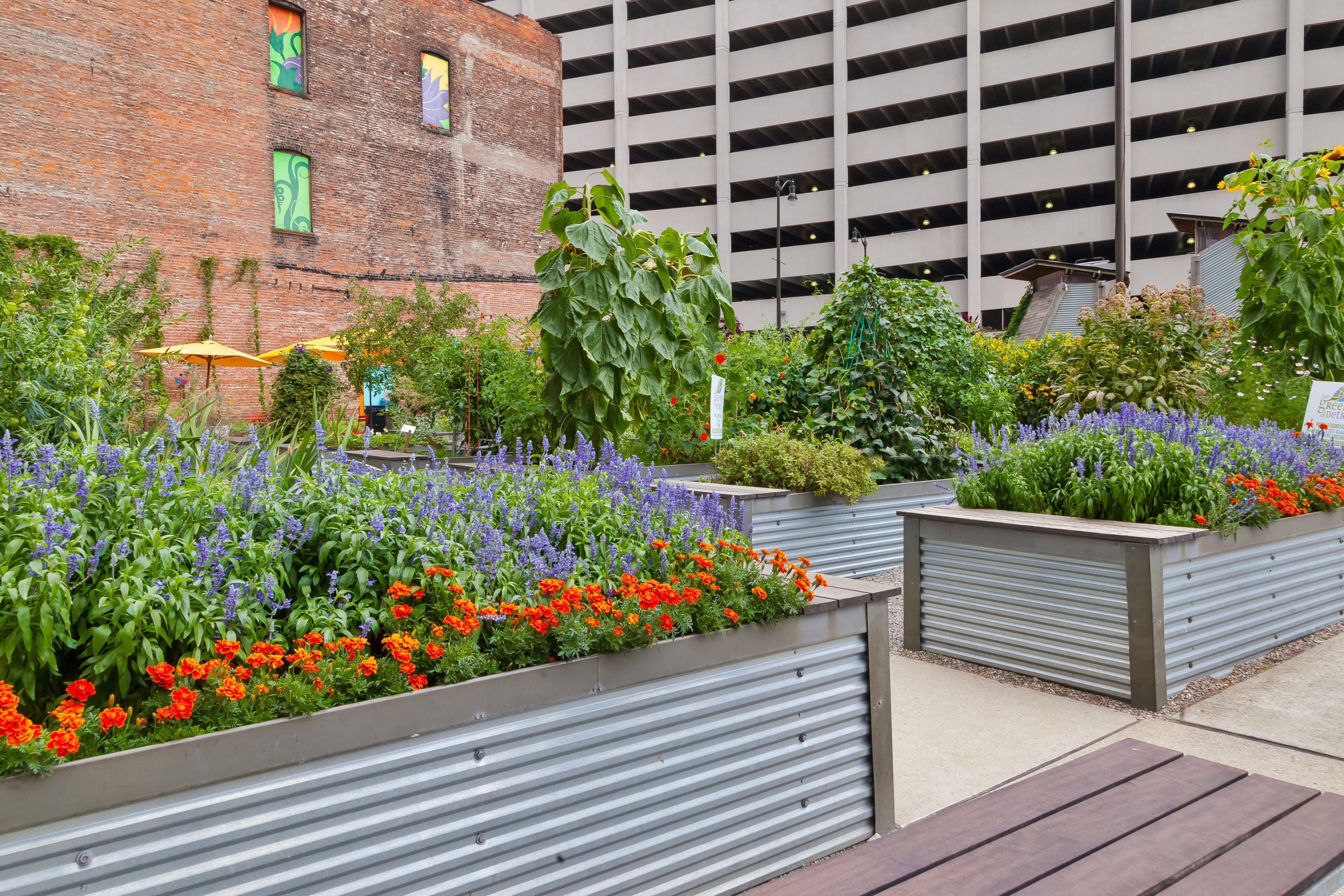 Hotel Indigo Detroit Downtown By Ihg Luaran gambar